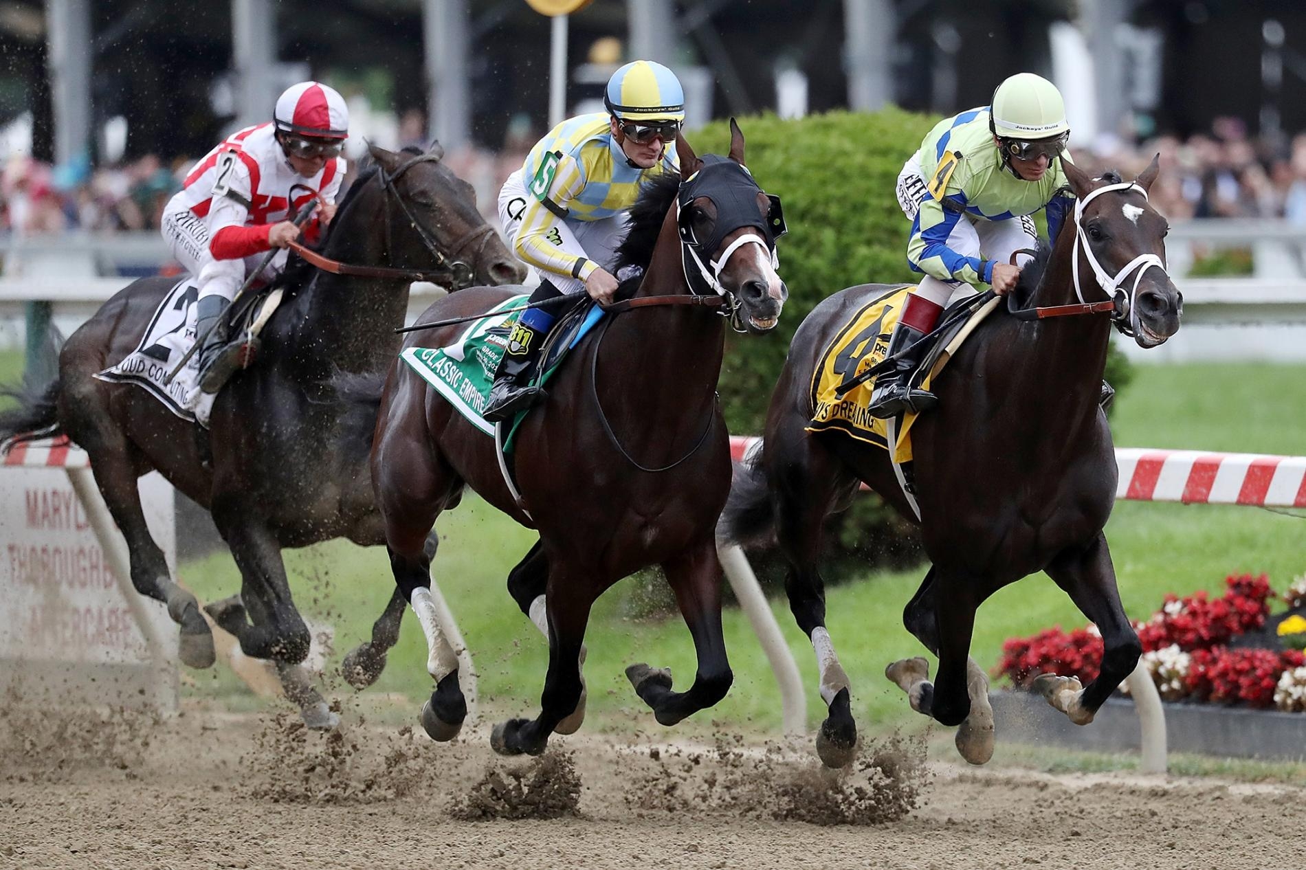 掌握賽馬數據分析,提升下注勝率|贏家娛樂城樂城
