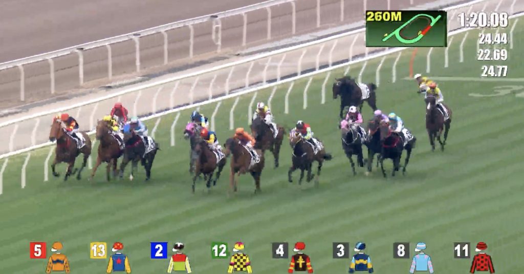 掌握賽馬數據分析,提升下注勝率|贏家娛樂城樂城